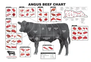 Beef cuts 